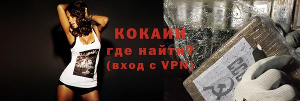 прущие грибы Рославль