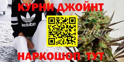apvp Пугачёв
