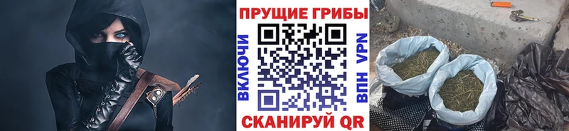 Галлюциногенные грибы Cubensis  купить  сайты  Алапаевск 